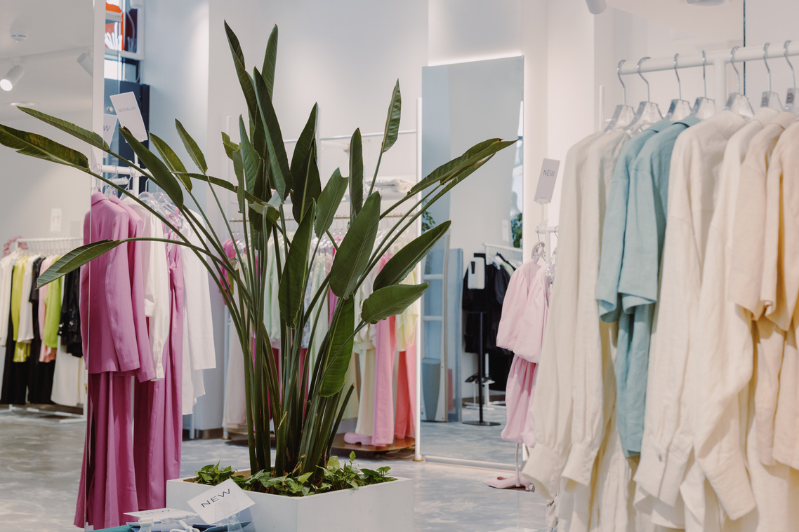 Green Plant Inside a Store